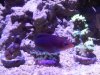 IMG00604-20110526-1903.jpg