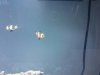 uploadfromtaptalk1307833706819.jpg