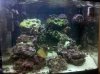IMG_20110701_181136.jpg