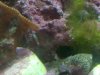 IMG_20110701_181323.jpg