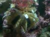IMG_20110701_181304.jpg