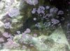 IMG_20110701_181250.jpg