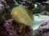 IMG_20110701_181150.jpg