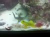 IMG_20110709_203442.jpg