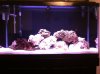 38 Gal Tank.jpg