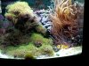 IMG00098-20110515-2111.jpg