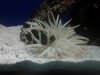 IMG_20110722_185415.jpg