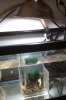 IMAG0529.jpg