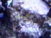 DSCI0492.jpg