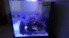 DSC00234.jpg