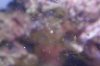 DSC02886.JPG