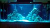 2011-08-09_19-12-31_184.jpg