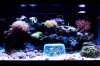 FTS-8-10-2011.jpg