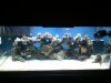 2011-07-31 18.25.32.jpg