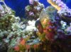 IMG00047-20110830-1759.jpg