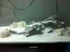 IMG_20110911_170743.jpg