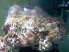 20110913183024.jpg