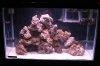 65g 3.jpg
