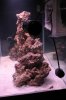 65g 4.jpg