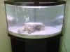 tank1.jpg