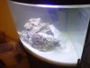sideview_tank.jpg