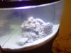 sideview2_tank.jpg