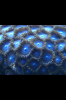 photo[1] (2).PNG
