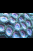photo[4].PNG