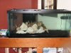 Aquascape 1 FTS-resize.jpg