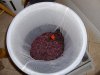 20090425_065424_Grape_pack.JPG