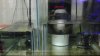 uploadfromtaptalk1320900501407.jpg