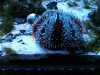 photo(1).jpg