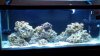 fts.jpg