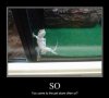 ImageUploadedByTapatalk1324355571.304571.jpg