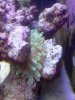 IMG_20111224_100001.jpg