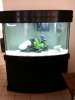 Saltwater Tank.jpg