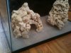 reef setup 002.jpg
