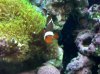 IMG_20120122_181651.jpg
