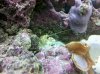 IMG_20120122_204943.jpg