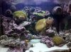 IMG_20120123_091847.jpg