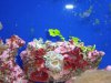 DSC05739.JPG