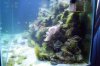 algae farm 1.JPG