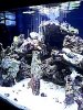 Front tank after cycle.jpg