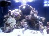 BIOCUBE.jpg