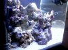 left side biocube.jpg