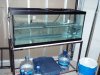 P3230484-small.jpg