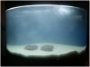 tank3.jpg