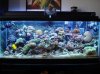 DSC00566a.JPG