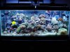 DSC00508.JPG