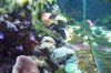 algae mess 2.JPG